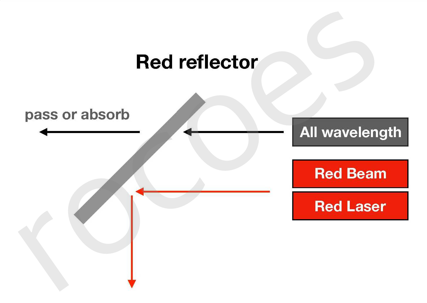 Red Reflector,rocoes